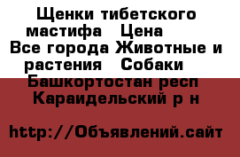 Щенки тибетского мастифа › Цена ­ 80 - Все города Животные и растения » Собаки   . Башкортостан респ.,Караидельский р-н